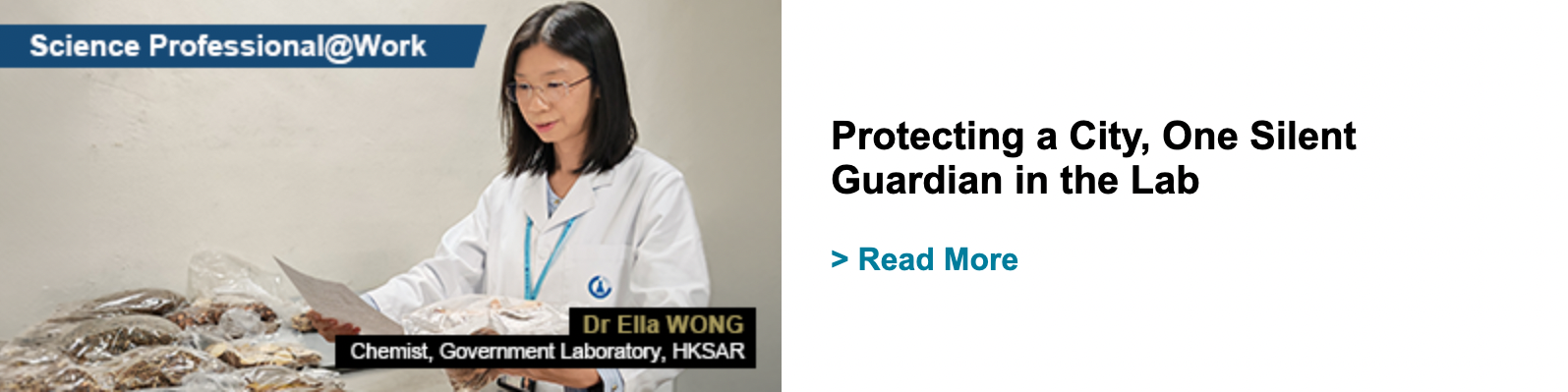 Protecting a City, One Silent Guardian in the Lab